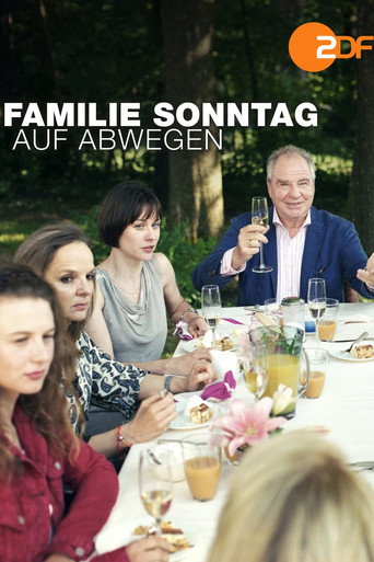 Taková normální Sonntagovic rodinka – plakát filmu