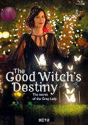 Good Witch's Destiny, The – plakát filmu