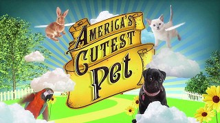 Nejroztomilejší američtí mazlíčci – plakát filmu