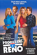 Probuzení v Renu – plakát filmu