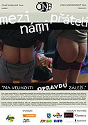 Mezi námi přáteli – plakát filmu