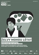 Želvy mohou létat – plakát filmu