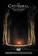 Katedrála – plakát filmu