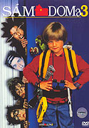Sám doma 3 – plakát filmu