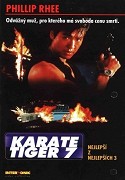Karate tiger 7: Nejlepší z nejlepších 3 - Není cesty zpět – plakát filmu