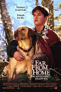 Daleko od domova – plakát filmu