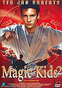 Mladý dračí ninja 2 – plakát filmu