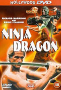 Ninja Dragon – plakát filmu