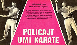 Policajt umí karate – plakát filmu
