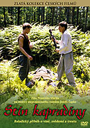 Stín kapradiny – plakát filmu