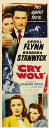 Cry Wolf – plakát filmu
