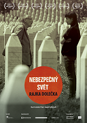 Nebezpečný svět Rajka Dolečka – plakát filmu
