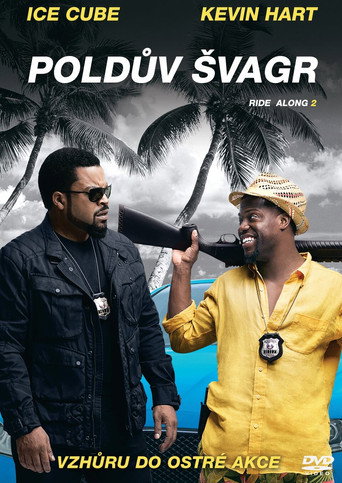 Poldův švagr – plakát filmu