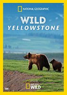 Divoký Yellowstone – plakát filmu