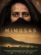 Mimózy – plakát filmu