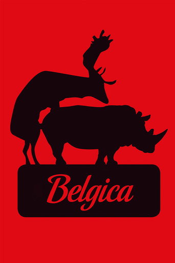 Belgica – plakát filmu