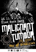 The Way of Metallist – plakát filmu