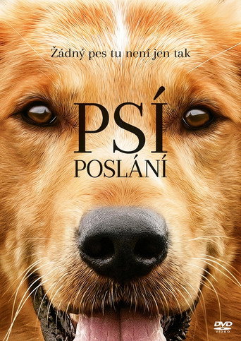 Psí poslání – plakát filmu