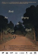 Ptáci zpívaji v Kigali – plakát filmu