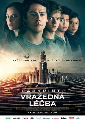 Labyrint: Vražedná léčba – plakát filmu