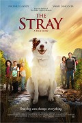 The Stray – plakát filmu