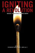 Igniting the Revolution – plakát filmu