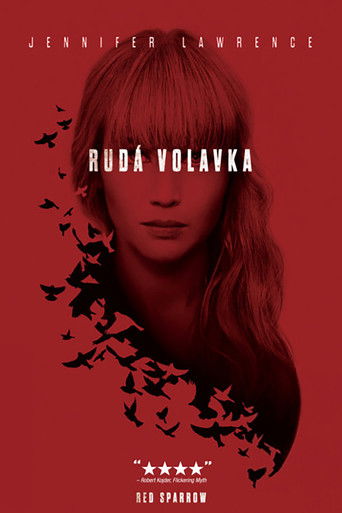 Rudá volavka – plakát filmu