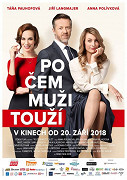 Po čem muži touží – plakát filmu