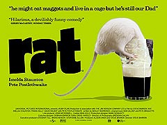Krysa – plakát filmu