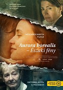 Polární záře – plakát filmu