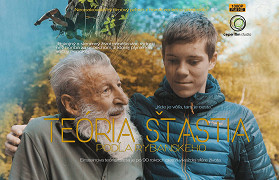 Teória šťastia – plakát filmu