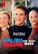 Záchranáři z Malibu: Další vlna – plakát filmu