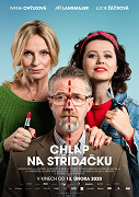 Chlap na střídačku – plakát filmu
