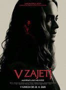 V zajetí – plakát filmu