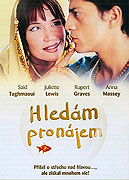 Hledám pronájem – plakát filmu