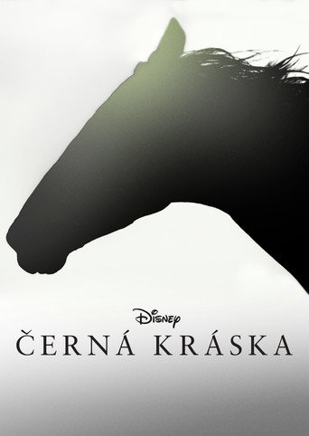 Černá kráska – plakát filmu