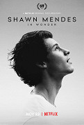 Shawn Mendes: In Wonder – plakát filmu