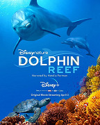 Dolphin Reef – plakát filmu