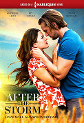 After the Storm – plakát filmu
