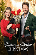 Picture a Perfect Christmas – plakát filmu