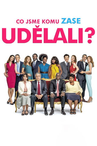 Co jsme komu zase udělali? – plakát filmu