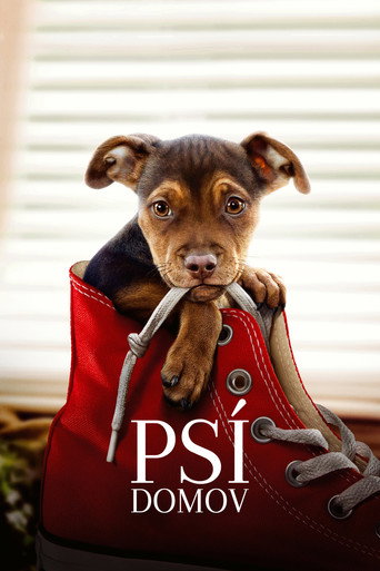 Psí domov – plakát filmu