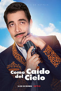 Como caído del cielo: Spadlý z ráje – plakát filmu