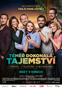 Téměř dokonalá tajemství – plakát filmu