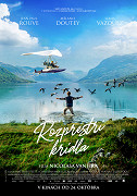 Rozprostři křídla – plakát filmu
