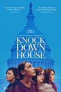 Čerstvý vítr do kongresu – plakát filmu