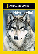 Návrat vlků – plakát filmu