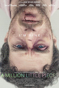 A Million Little Pieces – plakát filmu