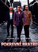 Pokrevní bratři – plakát filmu
