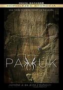 Pavúk, horolezec storočia – plakát filmu
